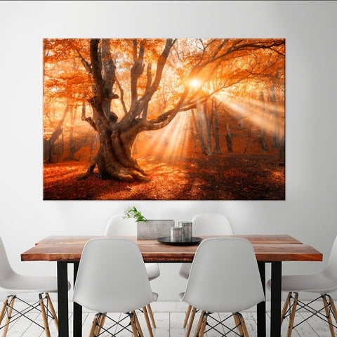 Rays - Acrylic Wall Art - Art Boutike