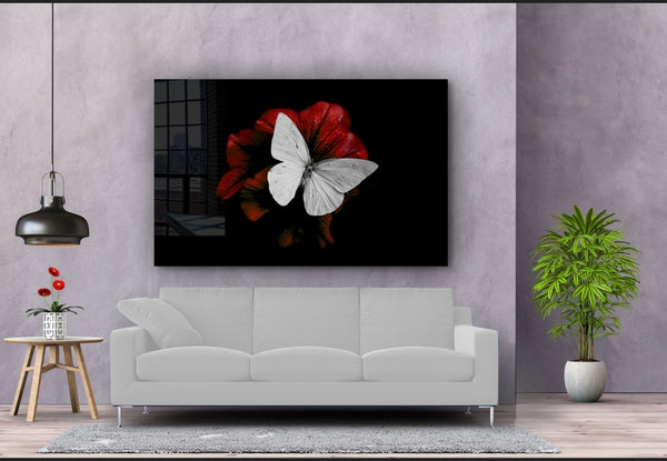 White Wings - Acrylic Wall Art