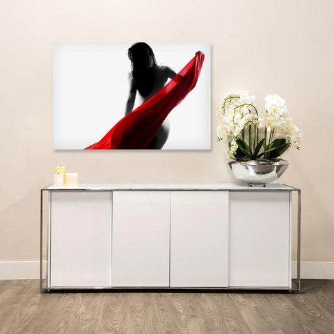 Toreo - Acrylic Wall Art - Art Boutike