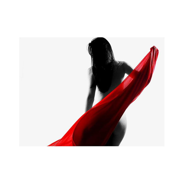 Toreo - Acrylic Wall Art - Art Boutike