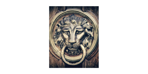 Entree - Acrylic Wall Art - Art Boutike