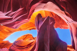 Antelope Dreams - Acrylic Wall Art - Art Boutike
