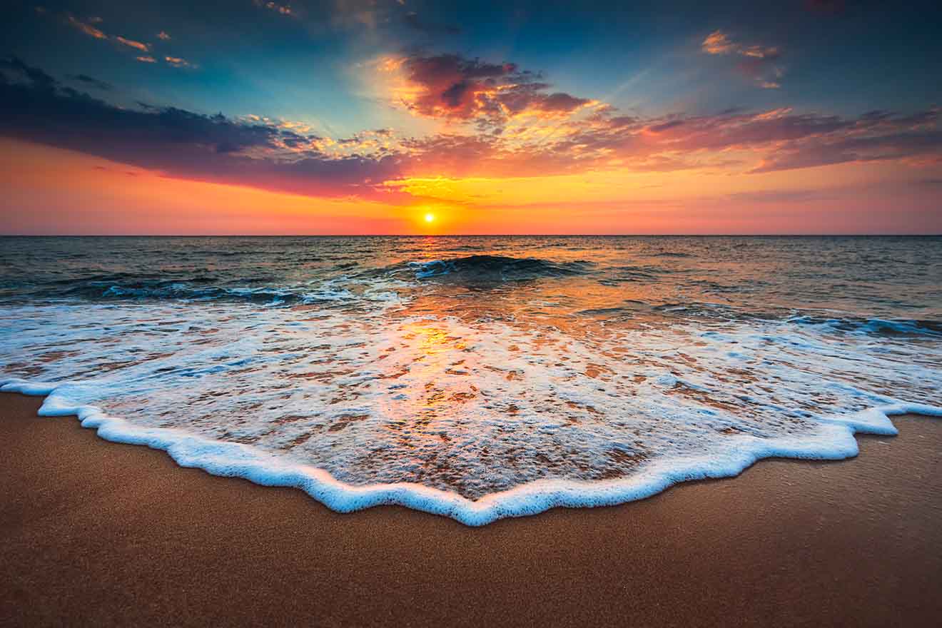 Paradise - Acrylic Wall Art - Art Boutike