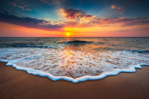 Paradise - Acrylic Wall Art - Art Boutike